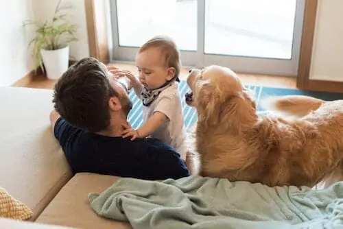 Dog playing with the baby