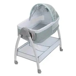 Bassinet with 30 lbs storage