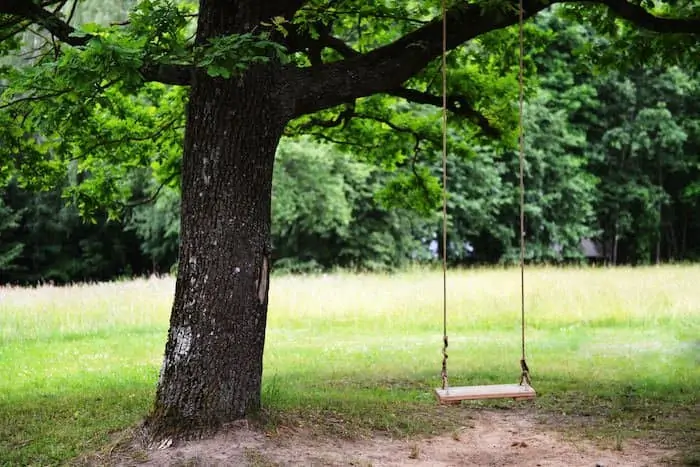 baby swing hanging