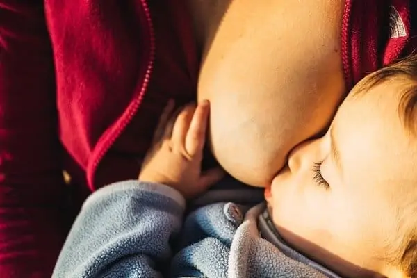 Baby breastfed in a park in the sun