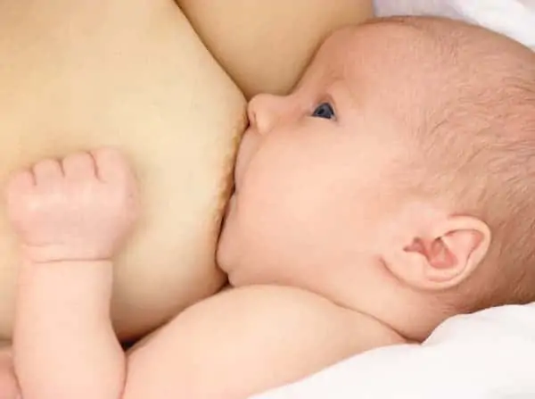 Newborn sucks mother breast