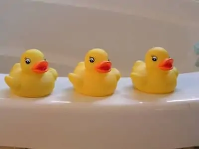 rubber duckies toy