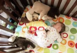 Baby comfortable sleep on crib