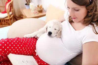 pregnant woman sits down with dog on lap