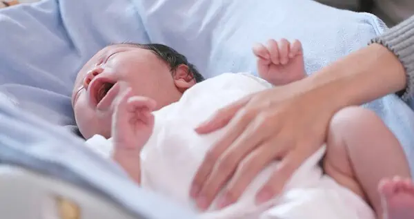newborn